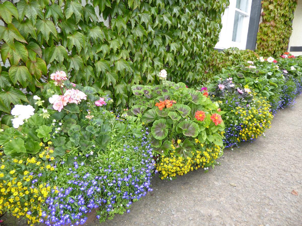 Marykirk Hotel Esterno foto